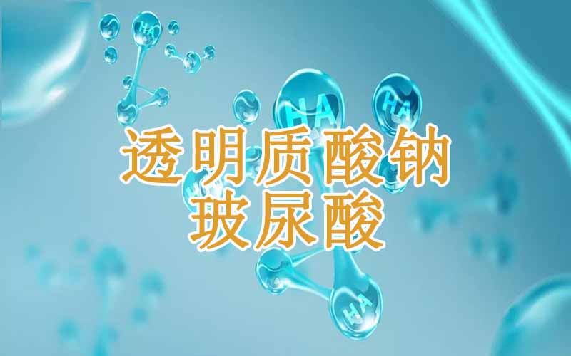 透明质酸钠是玻尿酸吗？