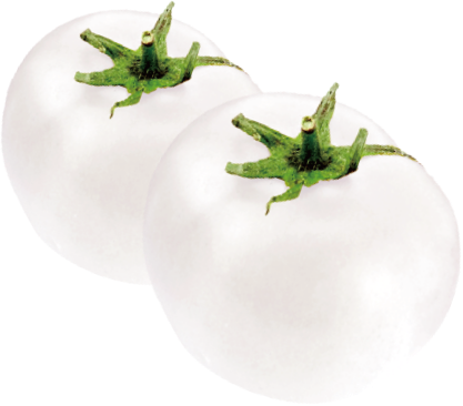 02.png