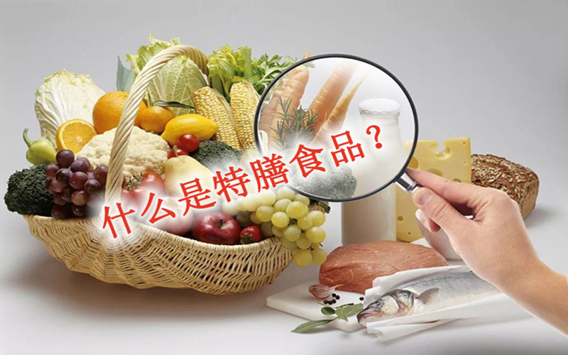 什么是特膳食品？