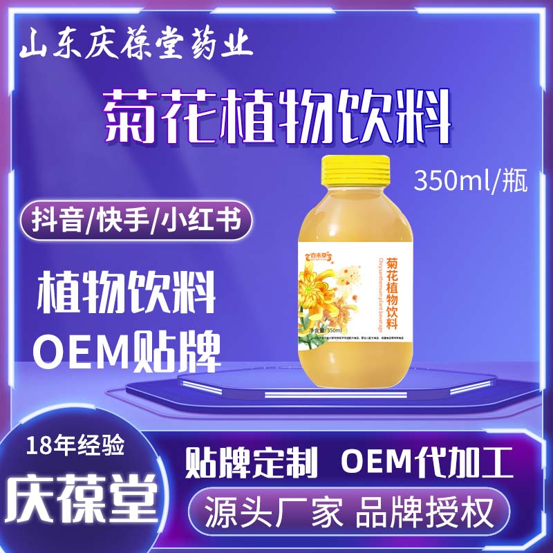 百未草 菊花植物饮料 贴牌代工