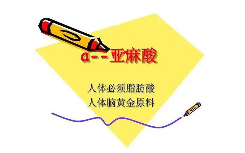 什么是α-亚麻酸