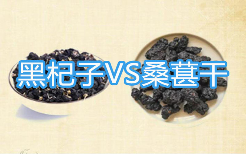 黑杞子和桑葚干的功效与作用