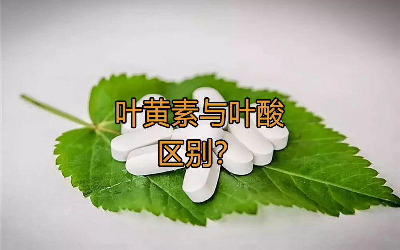 叶黄素与叶酸的区别