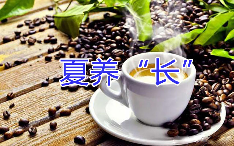 夏季养生——咖啡