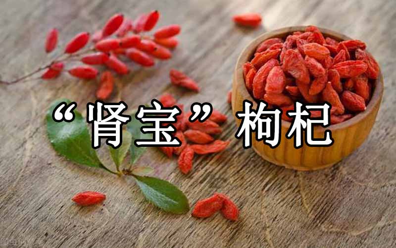 肾宝——枸杞的作用与功效