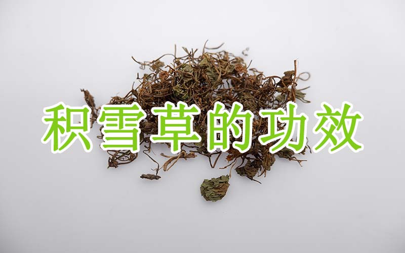 积雪草的功效