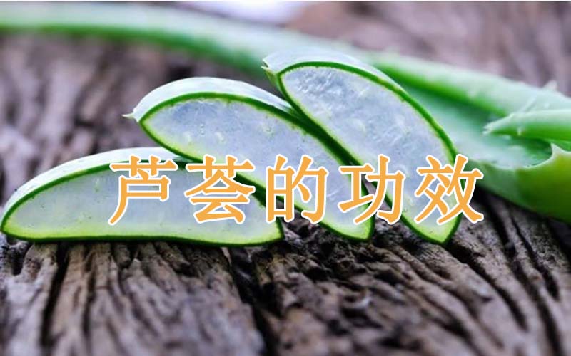 芦荟有哪些医疗和美容功效？