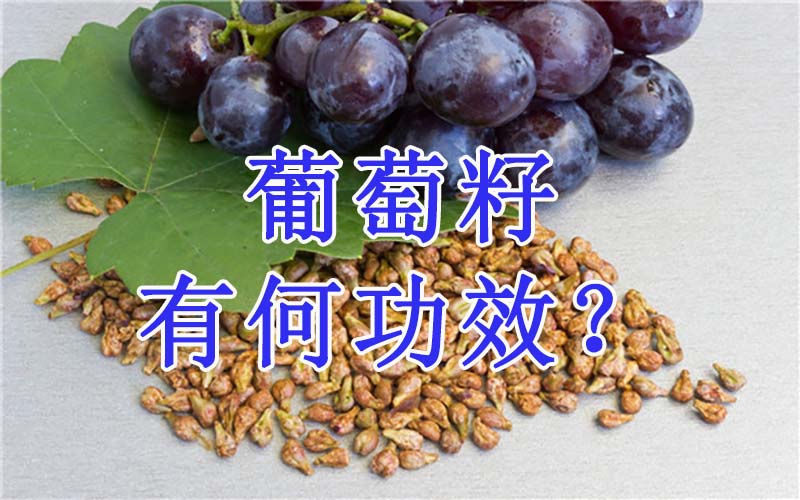葡萄籽有什么功效