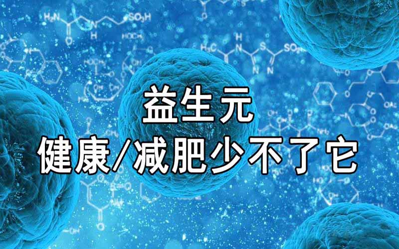 益生元——健康、减肥少不了它