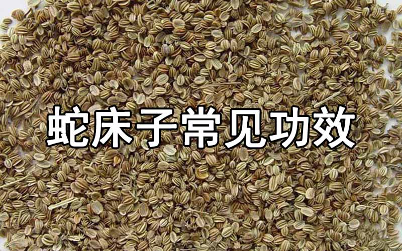 蛇床子的常见功效