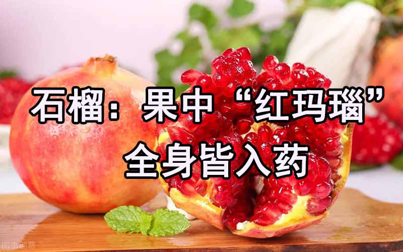 石榴：果中“红玛瑙”，全身皆入药