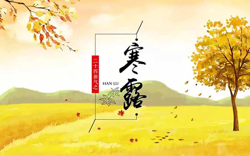 寒露时节话痛风