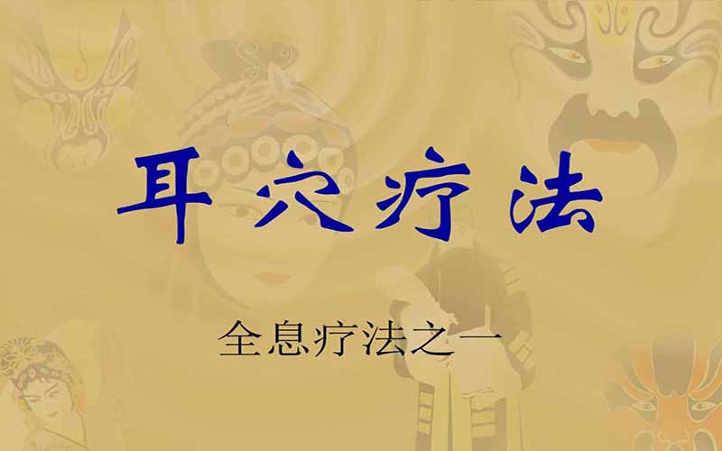 小耳穴 大全息