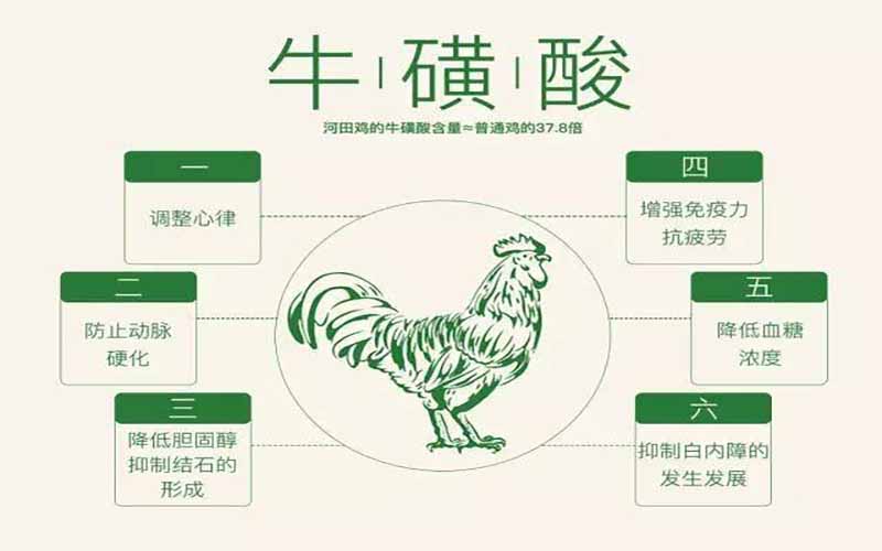 起底功能饮料“明星”牛磺酸