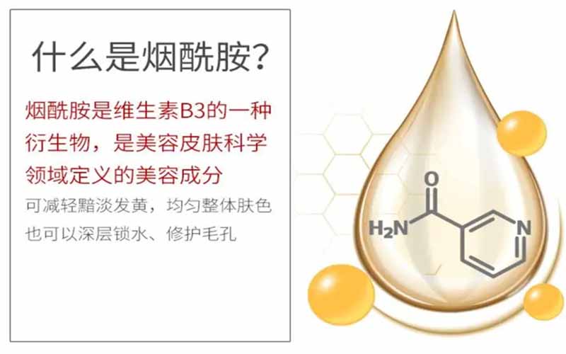 烟酰胺——美白人气王