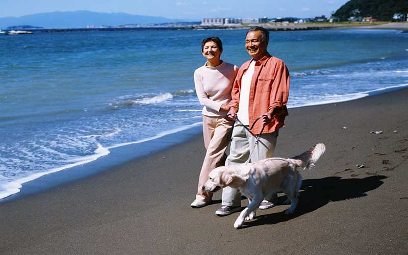 “候鸟”老人南下“猫冬”未病先防很重要