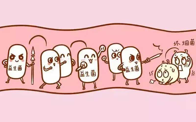 科学家呼吁给益生菌药物“身份”