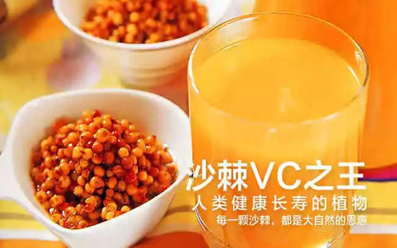 了解一下VC之王沙棘