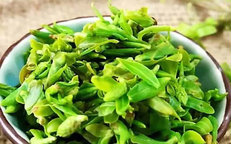 柳树嫩芽的功效和食用方法