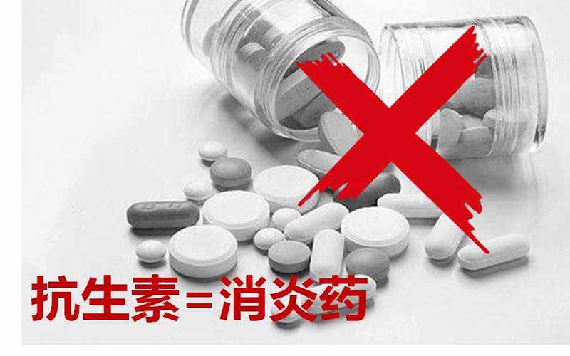 每日健康小贴士：消炎药就是抗生素吗？