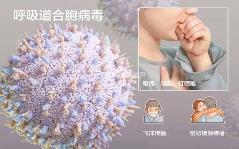 合胞病毒刷屏！尚无疫苗和特效药