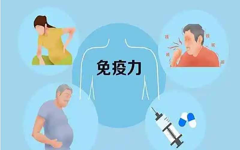 增强身体素质和免疫力的建议