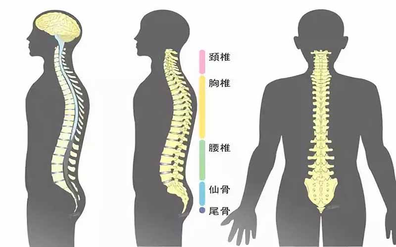 保护脊椎健康，你做对了吗？