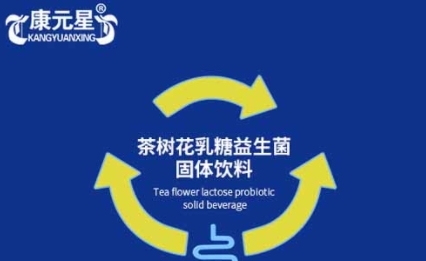 康元星 茶树花乳糖益生菌固体饮料：微生态平衡中的味蕾之旅