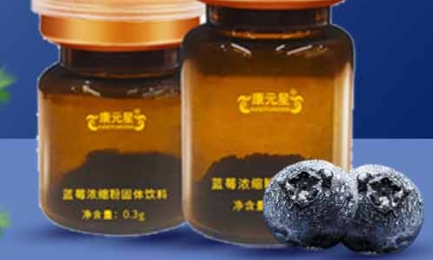 康元星 蓝莓浓缩粉固体饮料——健康美味的饮品