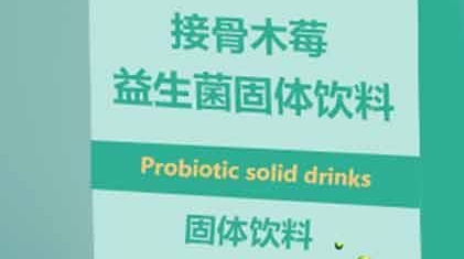 百未草 接骨木莓益生菌固体饮料——健康饮品新潮流