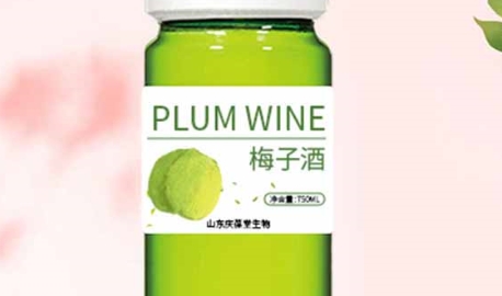 庆葆堂 梅子酒：醇香滋味，满口生香
