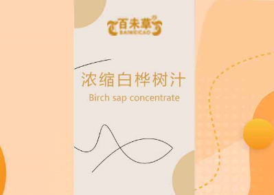 百未草浓缩白桦树汁：自然之馈的珍贵饮品