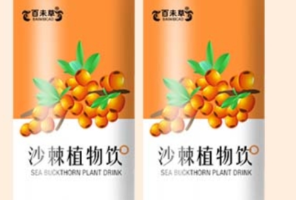 百未草：唤醒味蕾的沙棘植物饮，感受自然的馈赠
