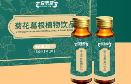 百未草 菊花葛根植物饮品：清新自然，健康美味