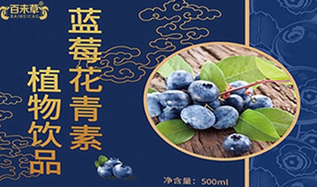 探寻百未草蓝莓花青素植物饮品的健康之道