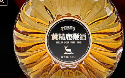 百未草黄精鹿鞭酒：珍贵佳酿，滋养身心
