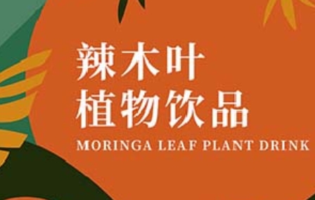 百未草：辣木叶植物饮品的天然养生之道
